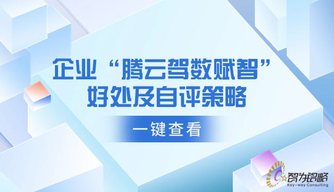 企业“腾云驾数赋智”的好处及自评策略.jpg