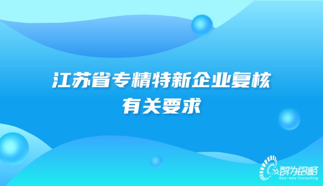 江苏省专精特新企业复核有关要求.jpg