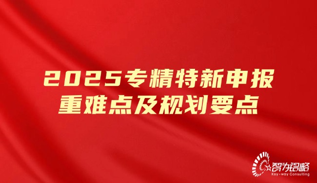 2025专精特新申报重难点及规划要点.jpg